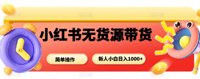 小红书无货源带货项目，简单无脑，新人小白日入多张-大齐资源站