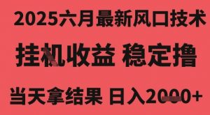 2025六月最新风口技术，无人挂G撸礼物，长期稳定 一个小时收益2k+，小白当天拿结果【揭秘】-大齐资源站