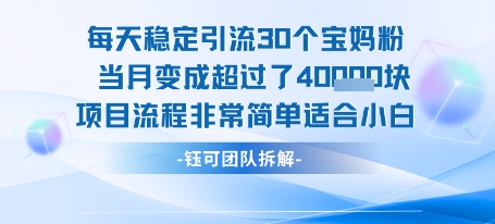 每天稳定引流30个人 当月变成超过了4个W项目流程非常简单适合小白-大齐资源站