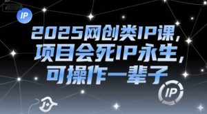 2025网创类IP课，项目会死IP永生，可操作一辈子-大齐资源站