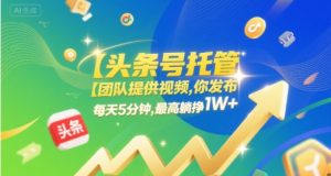 【头条号托管 】团队提供视频，你发布，每天5分钟，最高躺挣1W+【揭秘】-大齐资源站