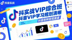 抖音实战VIP综合班,抖音VIP学习规划请晰抖音各种变现渠道-大齐资源站