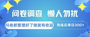 问卷调查，懒人勿扰，问卷都整理好了单价不等，做就有收益，熟练后单日3张【揭秘】-大齐资源站