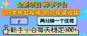 全新项目 种草平台 只需要转发任务视频 即可获得收益 新手小白每天稳定3张+【揭秘】-大齐资源站