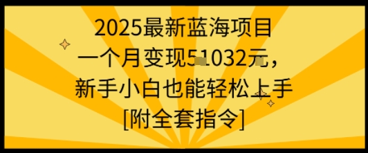 2025最新蓝海项目一个月变现1w+新手小白也能轻松上手【附全套指令】-大齐资源站