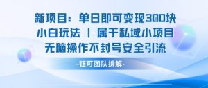 新项目单日即可变现3张的小白玩法无脑操作不封号安全引流-大齐资源站