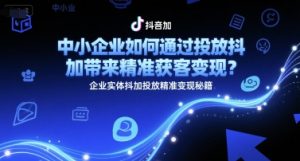 中小企业如何通过投放抖加带来精准获客变现？企业实体抖加投放精准变现秘籍-大齐资源站