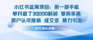 小红书蓝海项目，一部手机单月做了3W利润，小白也能月入过1W用户认可度高成交多-大齐资源站