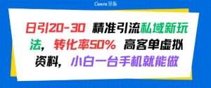 日引 20-30 精准引流私域新玩法，转化率50% 高客单虚拟资料，小白一台手机就能做-大齐资源站
