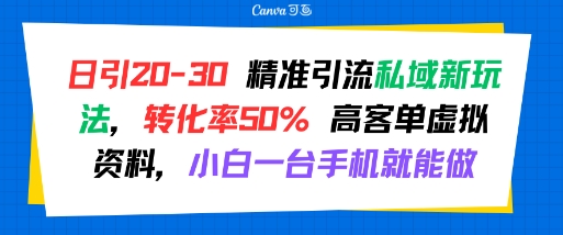 日引 20-30 精准引流私域新玩法，转化率50% 高客单虚拟资料，小白一台手机就能做-大齐资源站