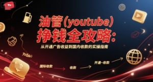 油管(youtube)挣钱全攻略：从开通广告收益到国内收款的实操指南-大齐资源站