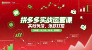 拼多多实战运营课，实时玩法，爆款打造，改销量，补大单，AB单，直播等（更新2025月）-大齐资源站