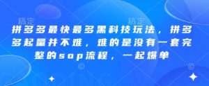 拼多多最快最多黑科技玩法，拼多多起量并不难，难的是没有一套完整的sop流程，一起爆单（更新6月）-大齐资源站
