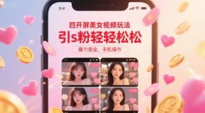 四开屏美女视频玩法，引s粉轻轻松松，暴力掘金，手机操作【揭秘】-大齐资源站