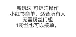 可矩阵操作,小红书商单新玩法,适合所有人,无需粉丝门槛,1粉丝也可以接单-大齐资源站