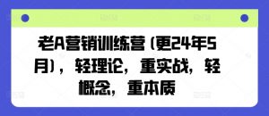 老A营销训练营(更25年8月)，轻理论，重实战，轻概念，重本质-大齐资源站