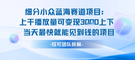 小众蓝海赛道项目：当天变现1k+适合新手操作 +适合长期玩-大齐资源站