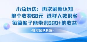小众玩法再次刷新认知单个收费68米进群人数很多每篇帖子能带来6张的收益-大齐资源站