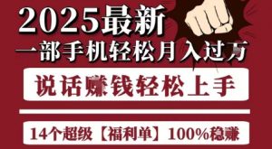 起航哥10个项目8个100%挣钱项目，2025最新一部手机轻松月入过W，简单轻松，无脑操作-大齐资源站