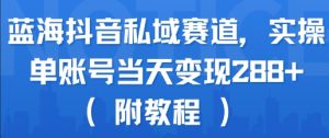 蓝海抖音私域赛道，实操单账号当天变现288+(附教程)-大齐资源站