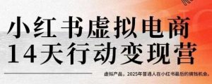 小红书虚拟电商14天变现训练营，虚拟产品，2025年普通人在小红书最后的搞钱机会-大齐资源站
