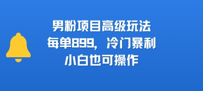 男粉项目高级玩法，每单899，冷门暴利，小白也可操作-大齐资源站