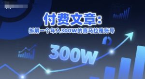 付费文章:拆解一个年入300W的喜马拉雅账号-大齐资源站