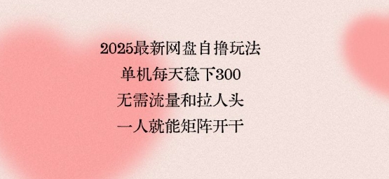 2025最新网盘自撸玩法，单机每天稳下3张，无需流量和拉人头，一个人就可轻松矩阵，全网独一份【揭秘】-大齐资源站