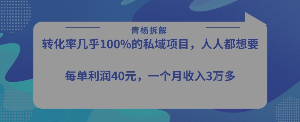 转化率最高的私域项目，每单利润40-50米，月入过1w-大齐资源站