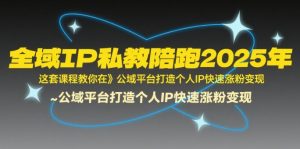 全域IP私教陪跑2025年，这套课程教你在​公域平台打造个人IP快速涨粉变现-大齐资源站