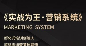服装老板必修课《实战为王-营销系统》实现业绩被动式增长-大齐资源站