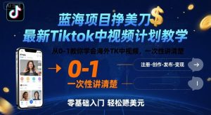 蓝海项目挣美刀，最新Tiktok中视频计划教学，从0-1教你学会海外TK中视频，一次性讲清楚-大齐资源站