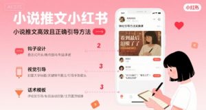 小说推文小红书高转化引导方法实操课，小说推文高效且正确引导方法-大齐资源站