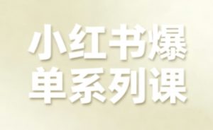 小红书爆单系列课,聚焦小红书电商全链路增长-大齐资源站