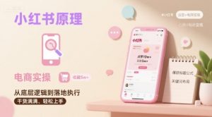 小红书原理以及详细实操流程，小红书电商教程-大齐资源站