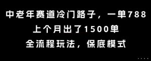 中老年赛道冷门路子，一单788，上个月出了1500单，全流程玩法，保底模式【揭秘】-大齐资源站