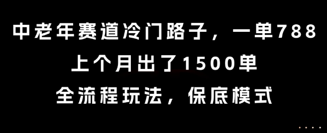 中老年赛道冷门路子，一单788，上个月出了1500单，全流程玩法，保底模式【揭秘】-大齐资源站