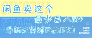 闲鱼卖这个，最少日入1k，最新无货源选品玩法-大齐资源站