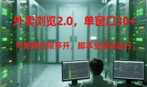 外卖浏览2.0，单窗口30+可矩阵无限多开，脚本全自动运行【揭秘】-大齐资源站