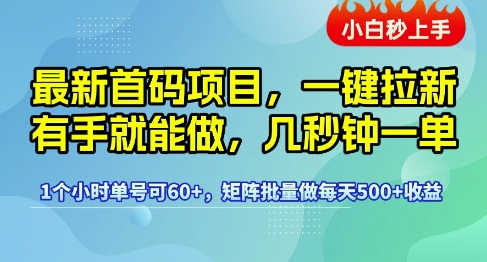 最新首码项目，一键拉新有手就能做，几秒钟一单，1个小时单号可60+，矩阵批量做每天5张【揭秘】-大齐资源站