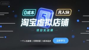 淘宝虚拟店铺项目实战课，一个人也能做，无需货源、0成本起步，月入5k-大齐资源站