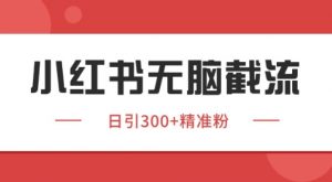 小红书截流同行客源，独家野路子获客玩法 日引200+暴力获客【揭秘】-大齐资源站
