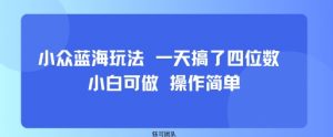 小众蓝海玩法 一天搞了四位数 小白可做 操作简单-大齐资源站