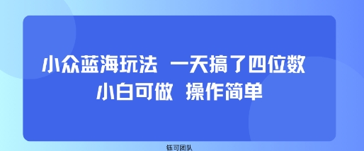 小众蓝海玩法 一天搞了四位数 小白可做 操作简单-大齐资源站