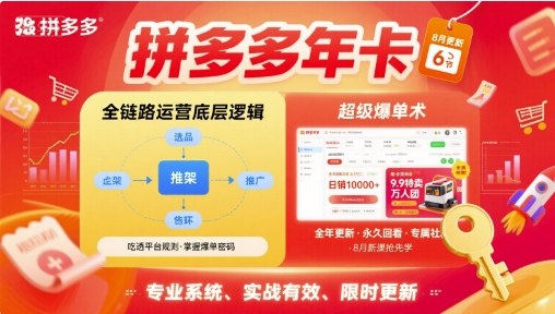 拼多多年卡【8月更新6节】拼多多全链路运营底层逻辑，超级爆单术-大齐资源站