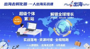 出海去孵化器，一人出海实战课，​超级个体第1站，解锁全球增长-大齐资源站