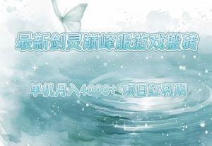 最新剑灵巅峰服游戏搬砖，项目红利期，单机稳定月入4k+操作简单好上手【揭秘】-大齐资源站