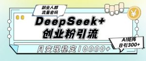 DeepSeek+创业粉精准引流，全新分享课4.0玩法，AI矩阵日引300+，多种变现方式，稳定月入1W-大齐资源站