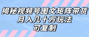 解密视频号图文矩阵带货，月入几个W的打法，可复制-大齐资源站