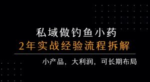 私域做钓鱼小药 每单利润3张+ 详细流程拆解-大齐资源站